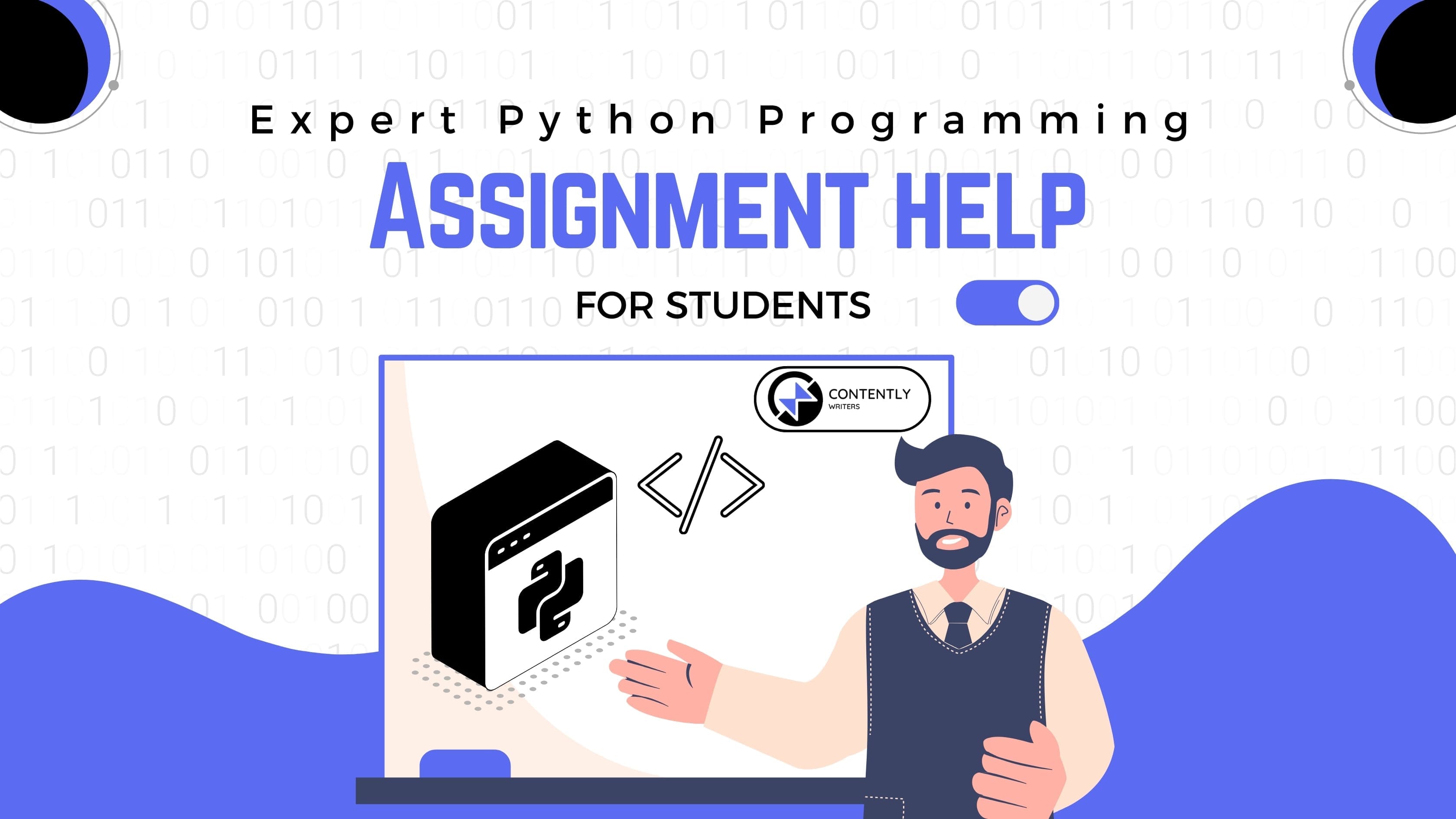 Expert Python Programming Assignment Help for Students